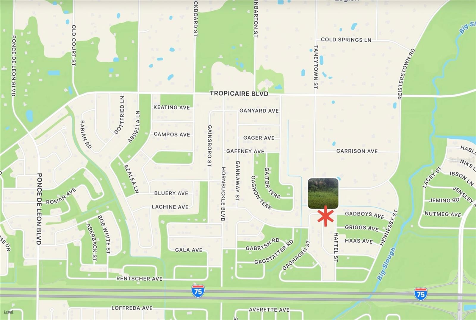 Image 13 of 13 For Gadboys Avenue