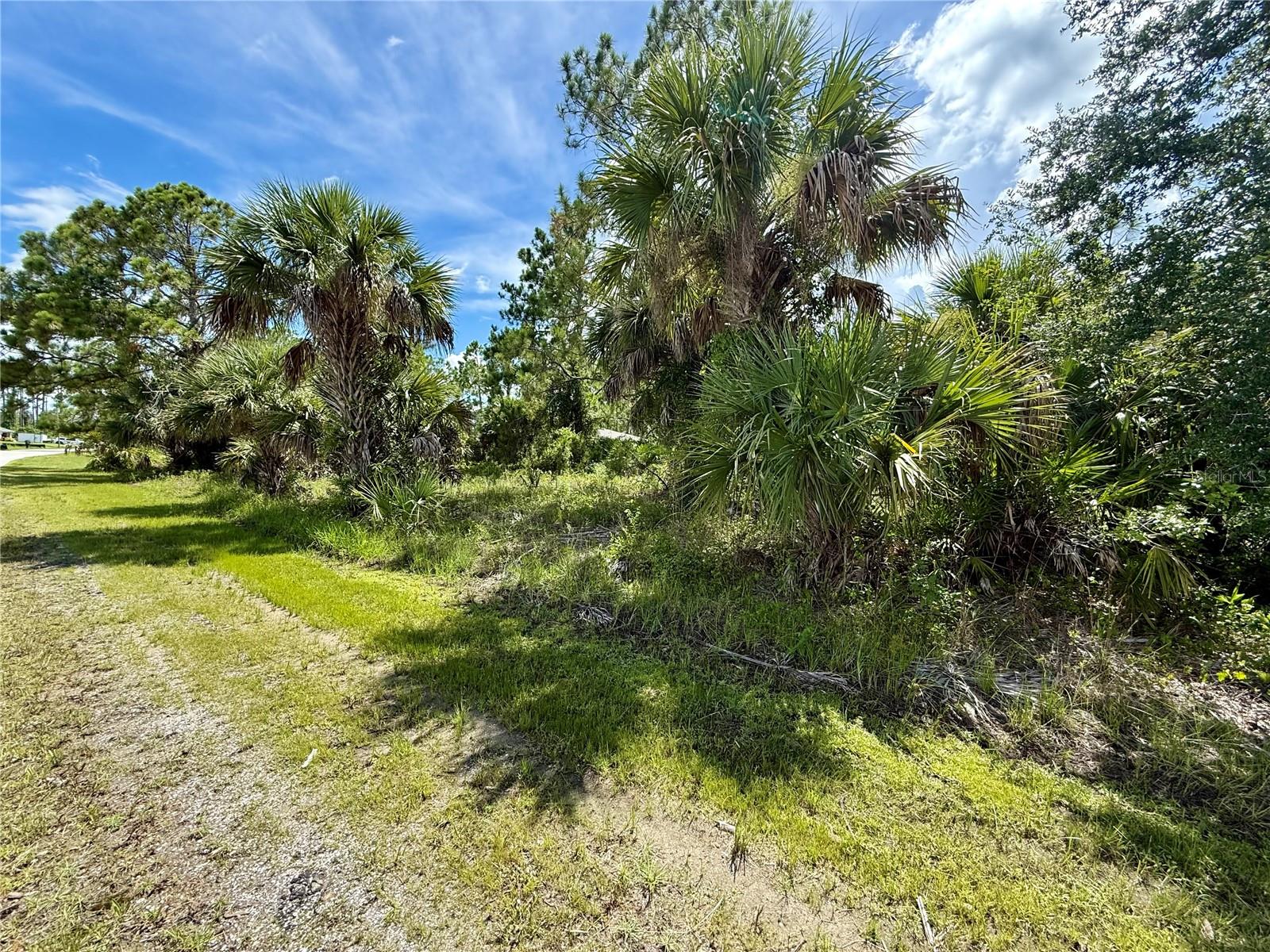 Image 3 of 8 For  Kabbaby St  