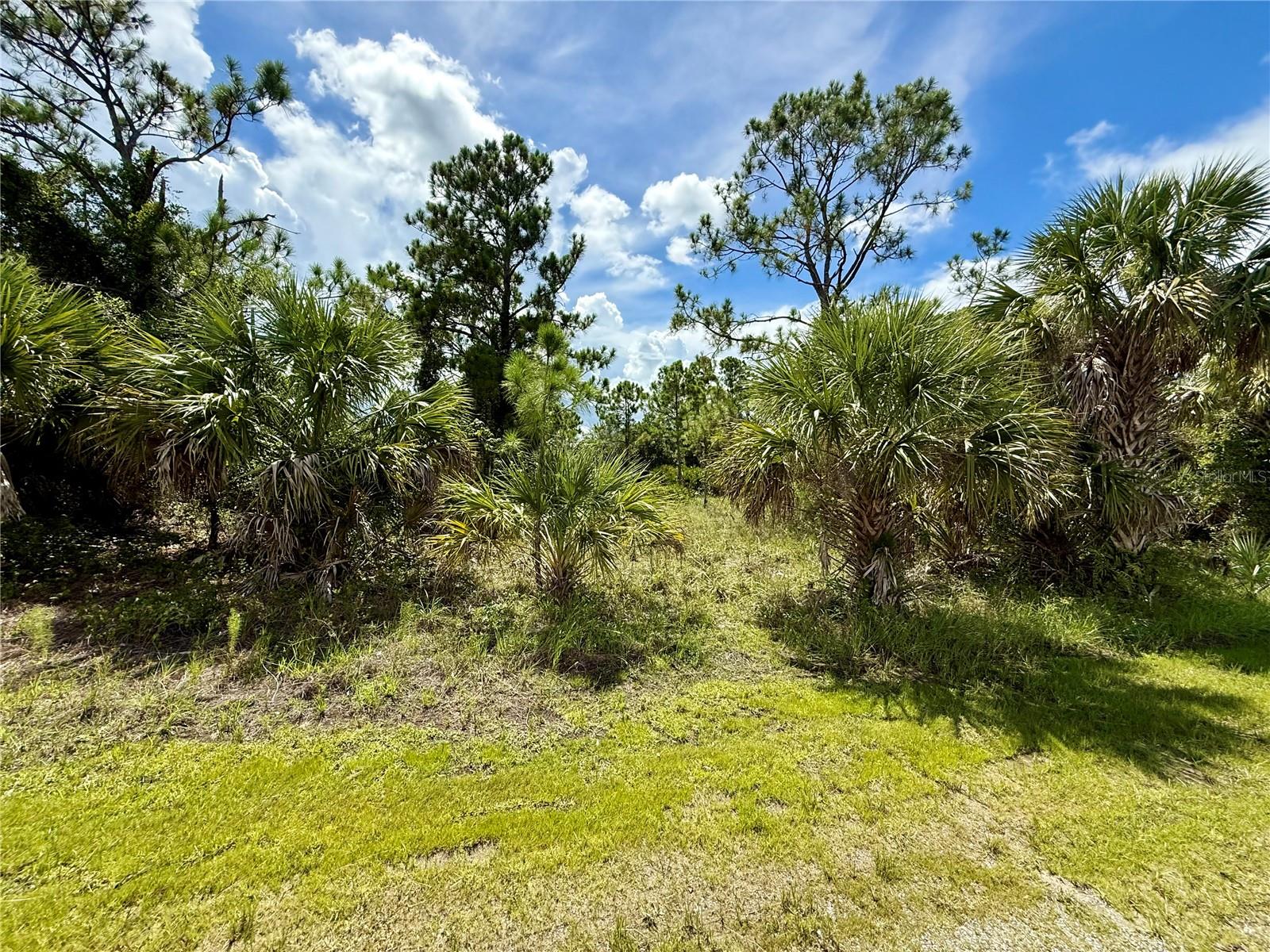 Image 6 of 8 For  Kabbaby St  