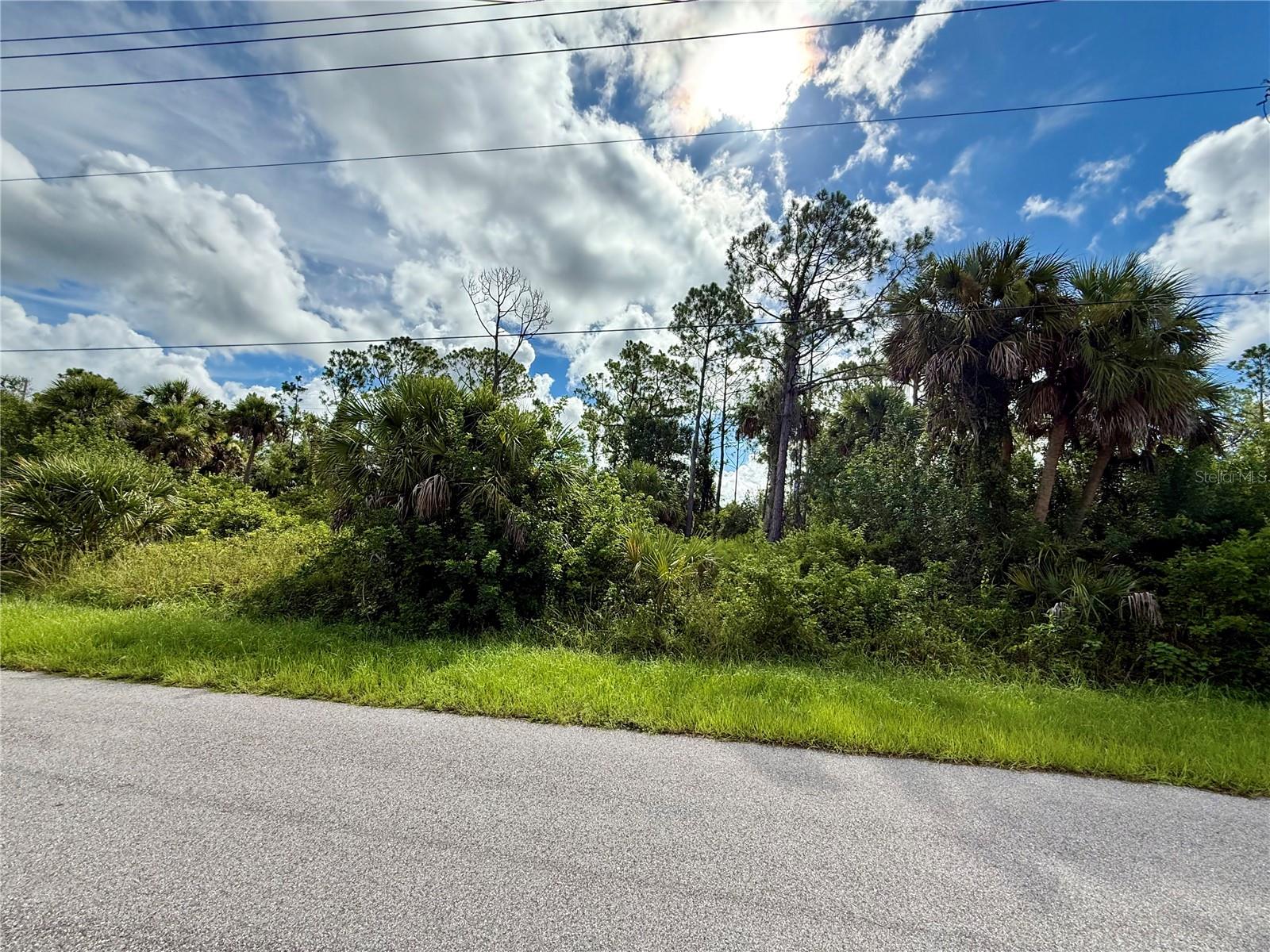 Image 6 of 11 For Oceanside St