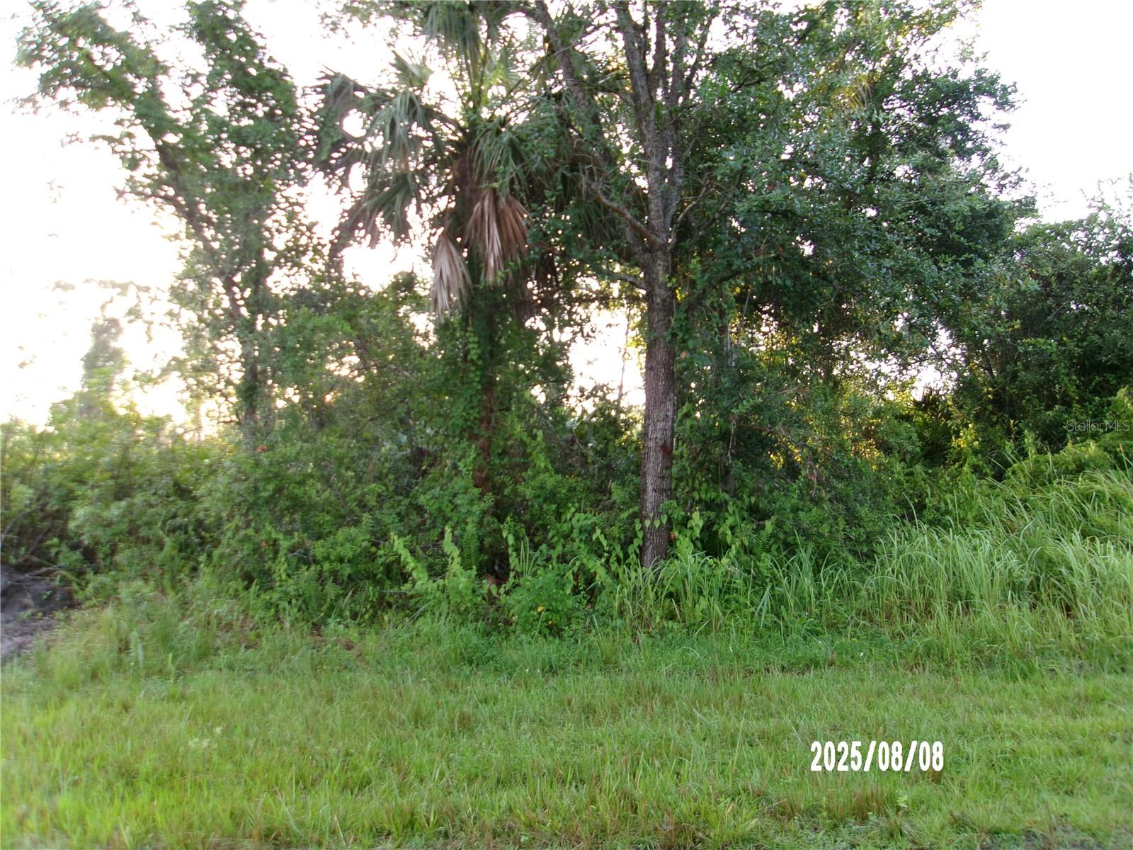 Details for 3162 Milan Street, PORT CHARLOTTE, FL 33981