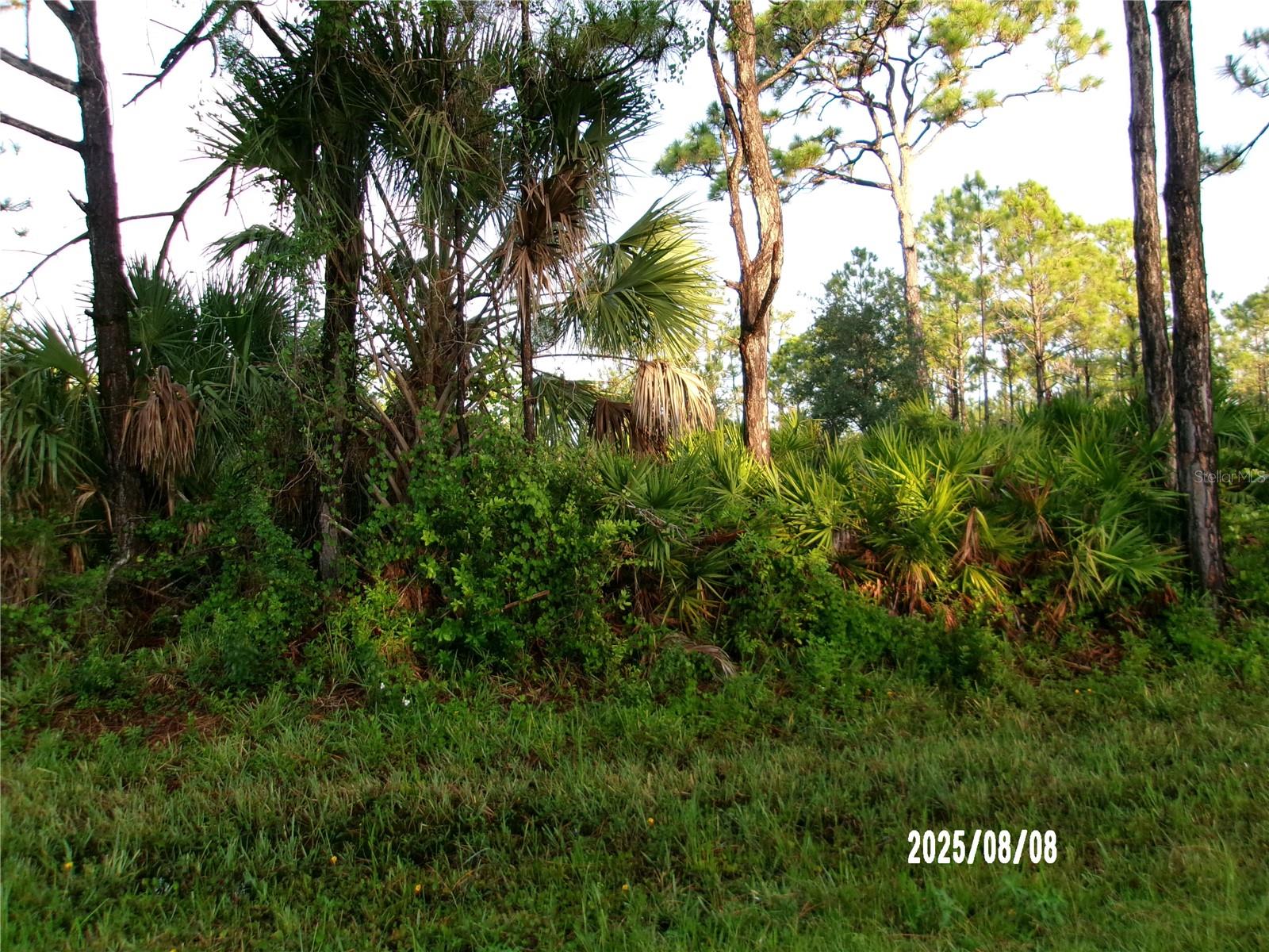 Image 6 of 6 For 3162 Milan Street