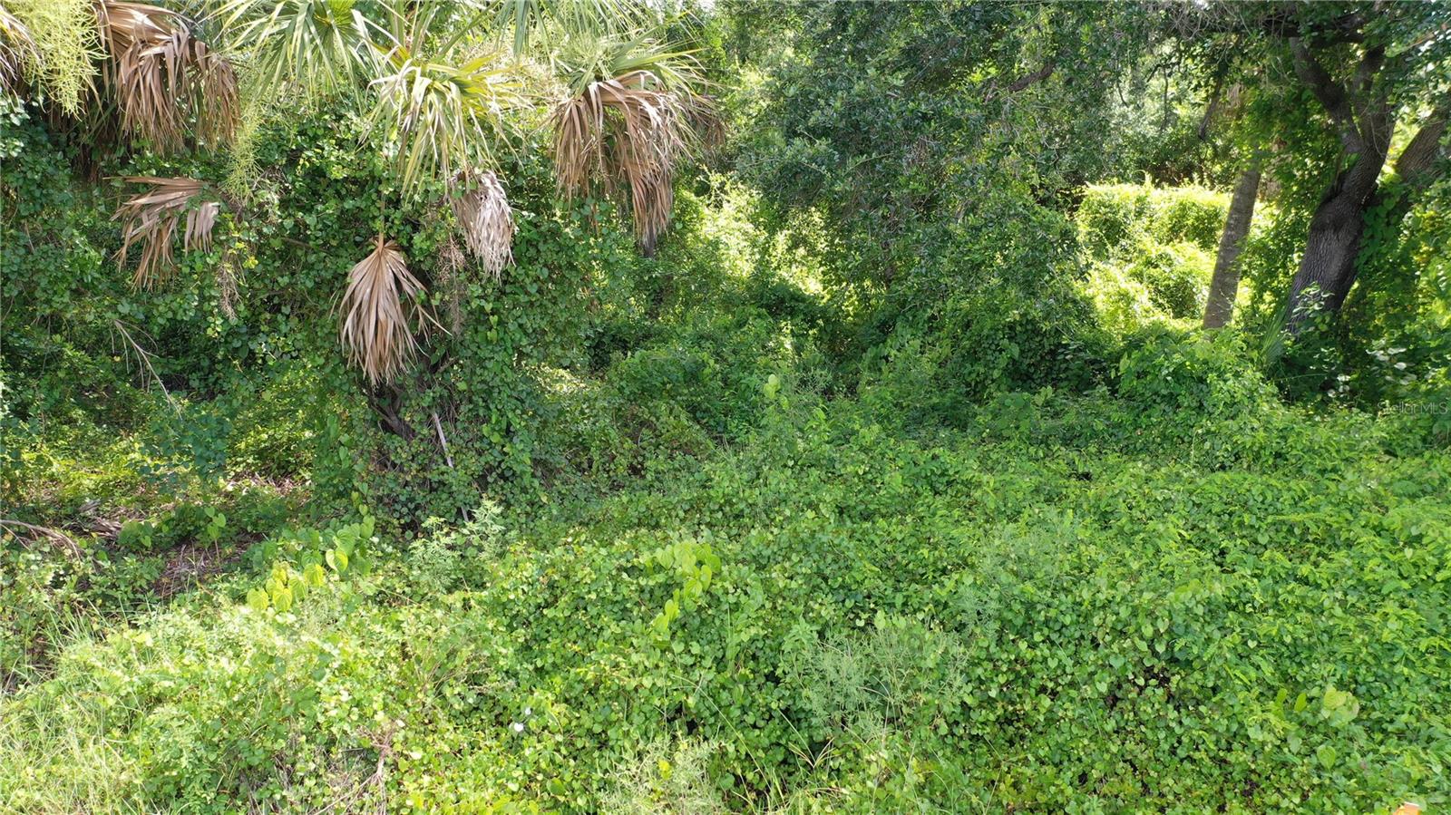 Image 11 of 16 For 284 Hinton Street