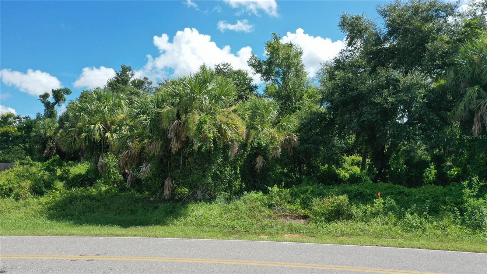 Image 5 of 16 For 284 Hinton Street