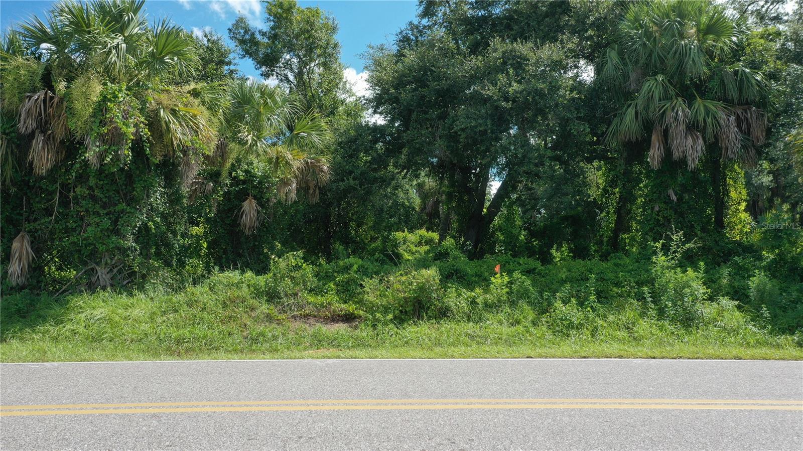 Image 8 of 16 For 284 Hinton Street