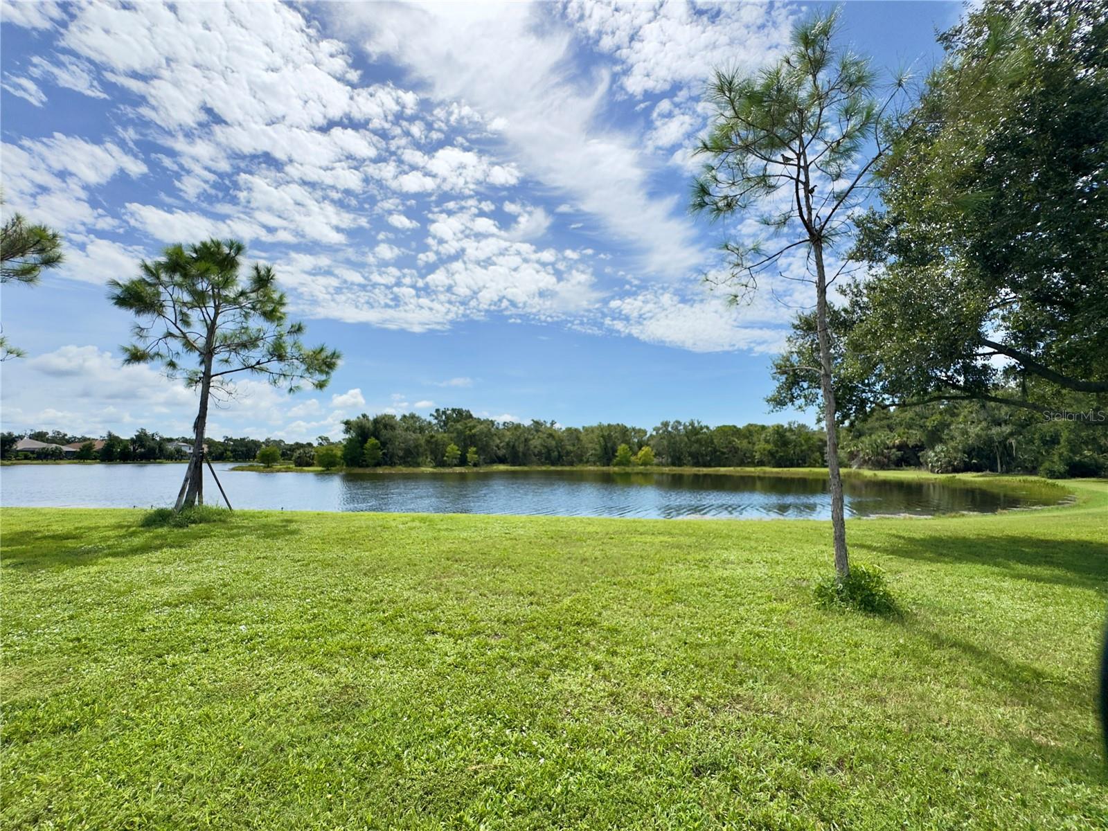 Image 40 of 75 For 12688 Sagewood Drive