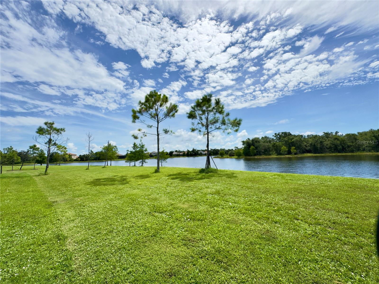 Image 41 of 75 For 12688 Sagewood Drive