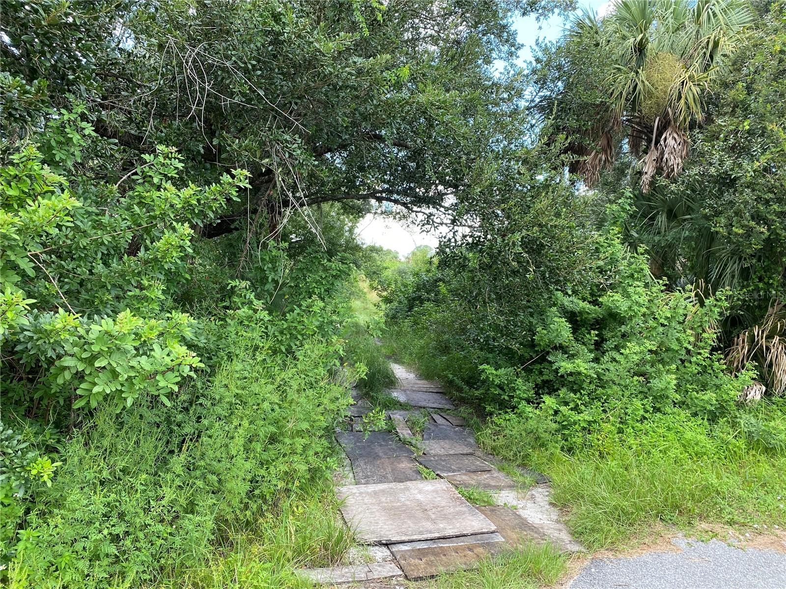 Image 3 of 8 For Sultan Court