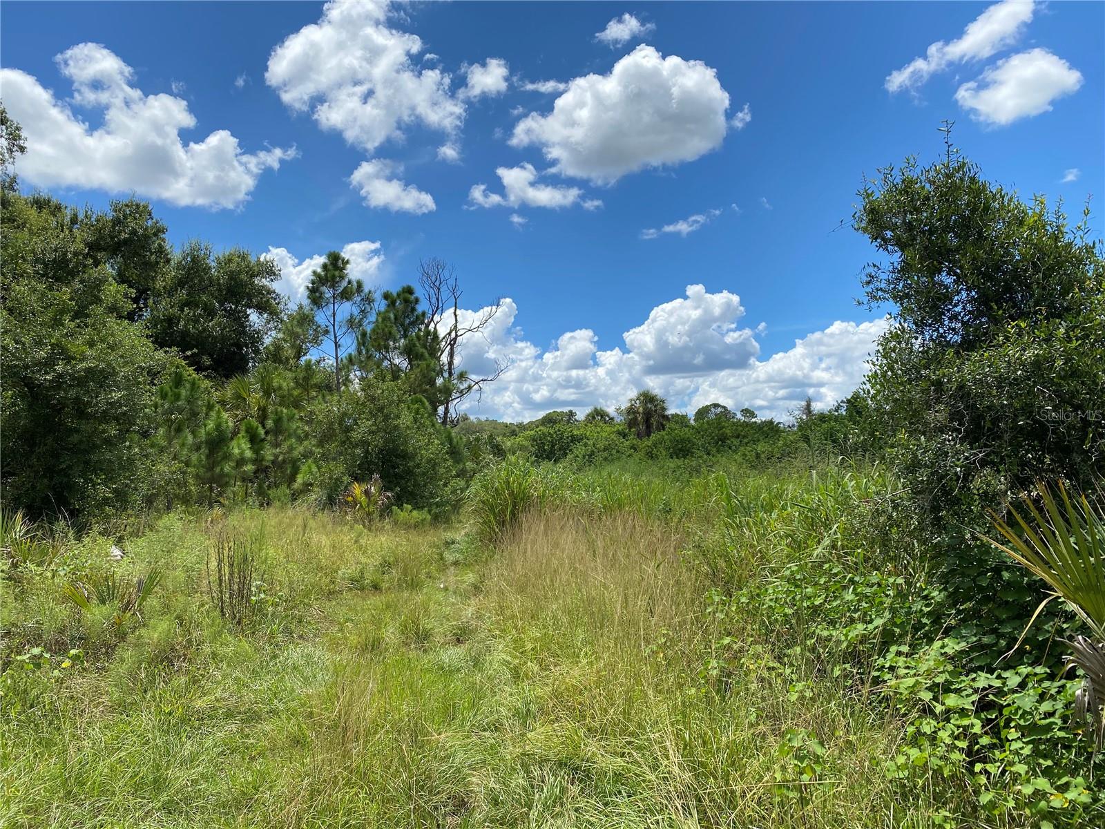 Image 4 of 8 For Sultan Court