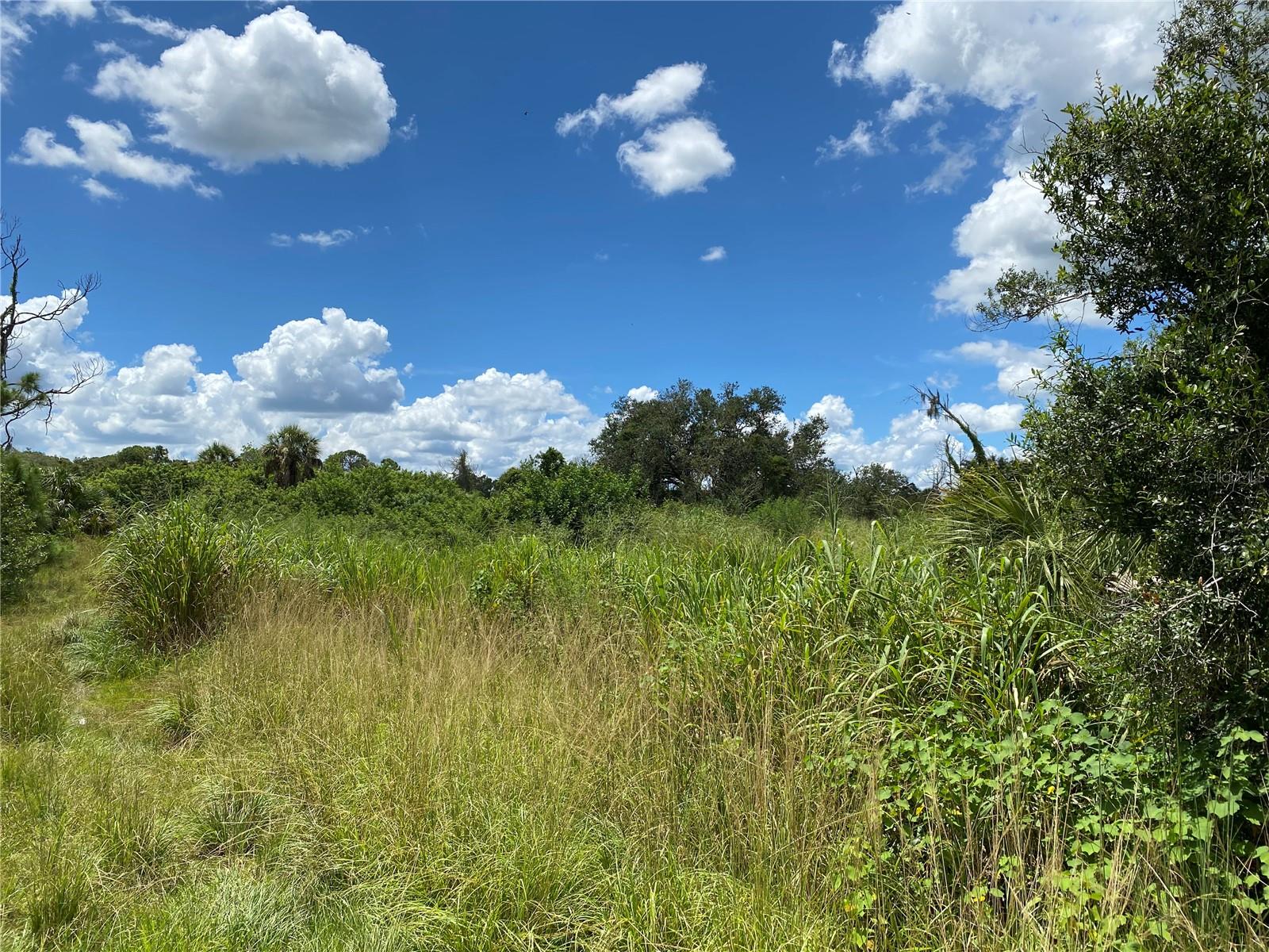 Image 5 of 8 For Sultan Court