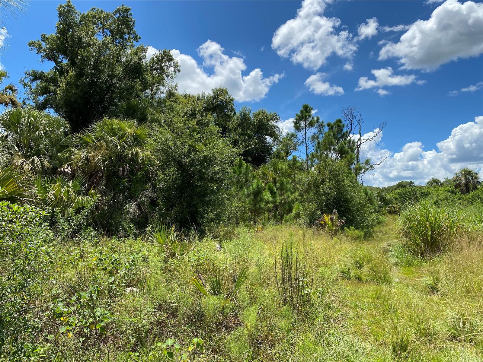 Image 6 of 8 For Sultan Court