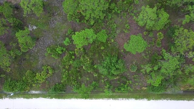 Image 10 of 15 For 28072 Crestwood Drive