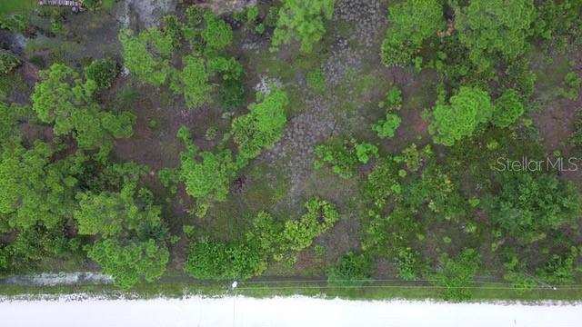 Image 11 of 15 For 28072 Crestwood Drive