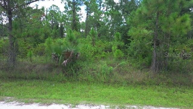 Image 3 of 15 For 28072 Crestwood Drive