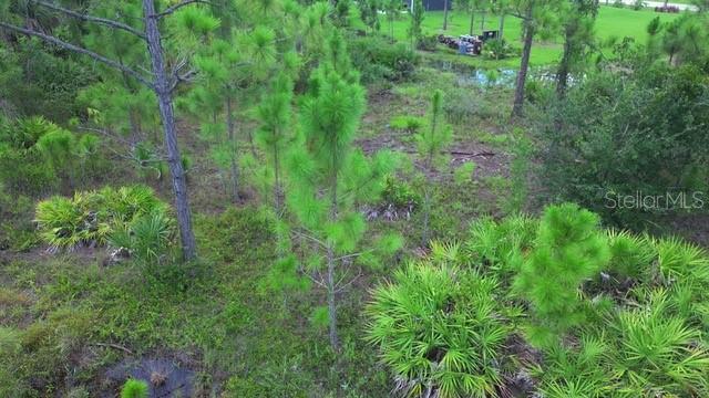 Image 5 of 15 For 28072 Crestwood Drive