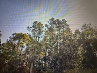 Listing Details for 2299 Dumont Drive, PUNTA GORDA, FL 33983