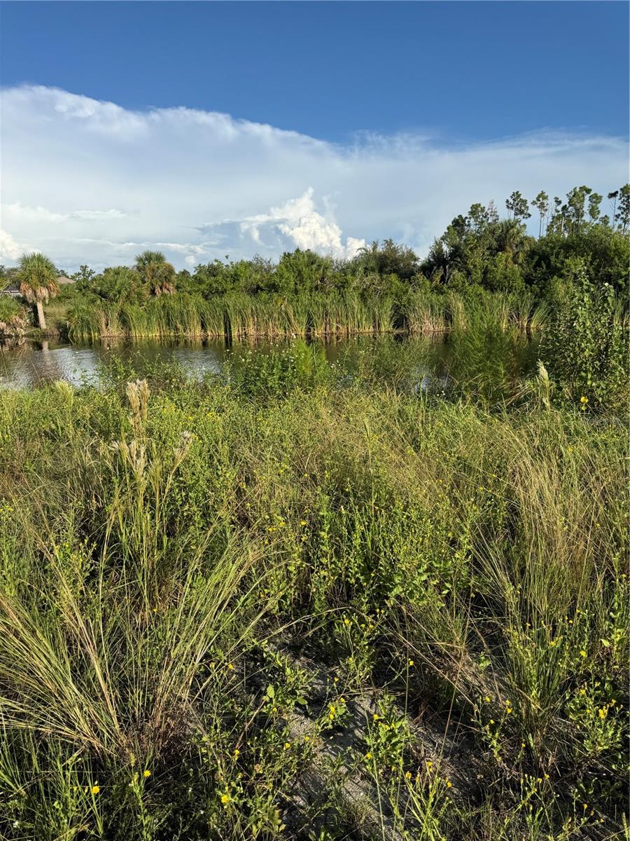 Image 10 of 10 For 8528 Santa Cruz Drive