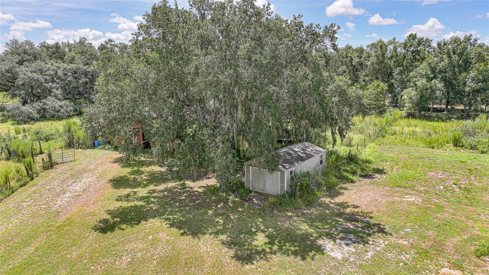 Image 42 of 51 For 4865 Dill Road