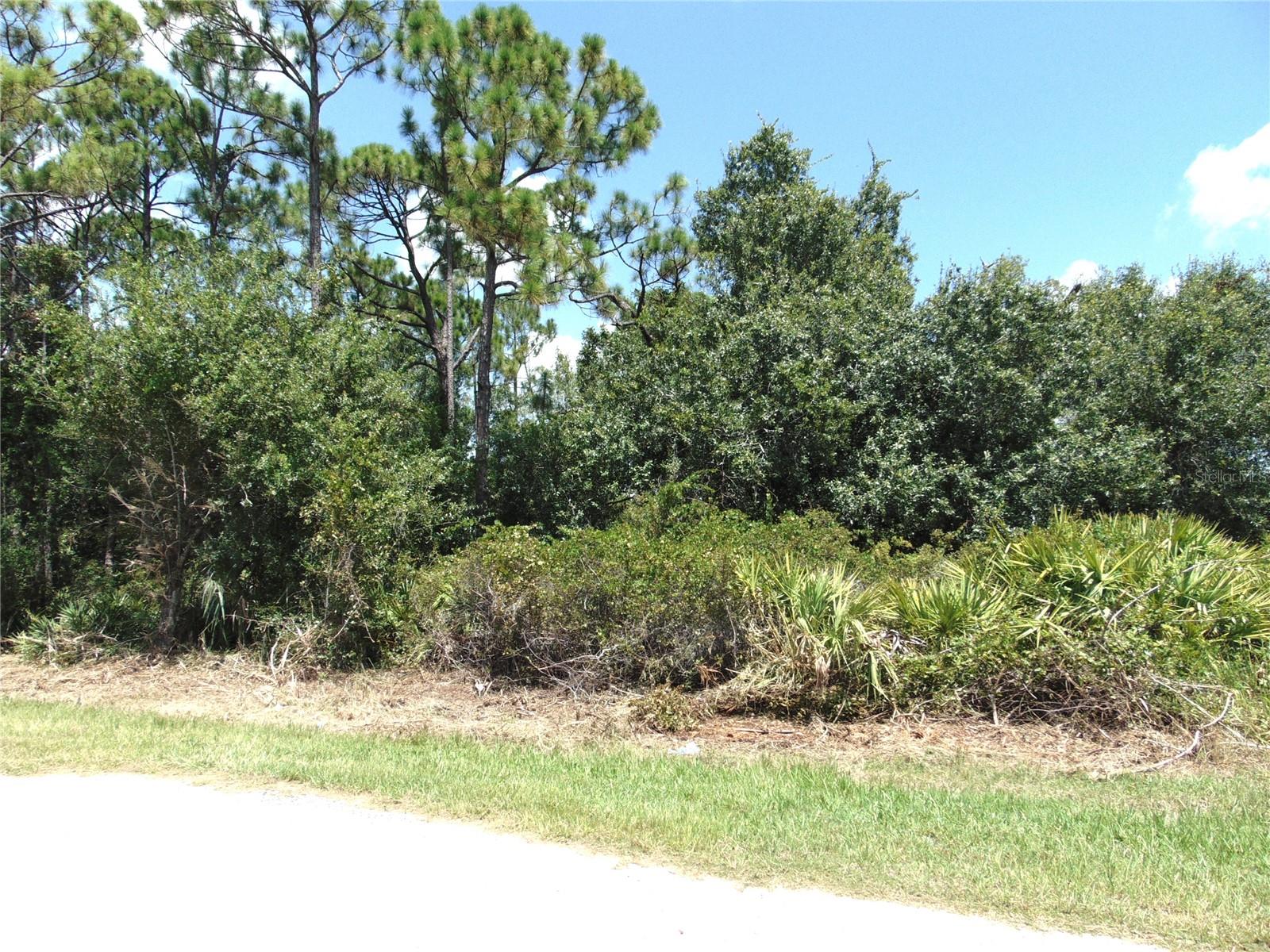 Details for 23376 Corinne Avenue, PORT CHARLOTTE, FL 33980