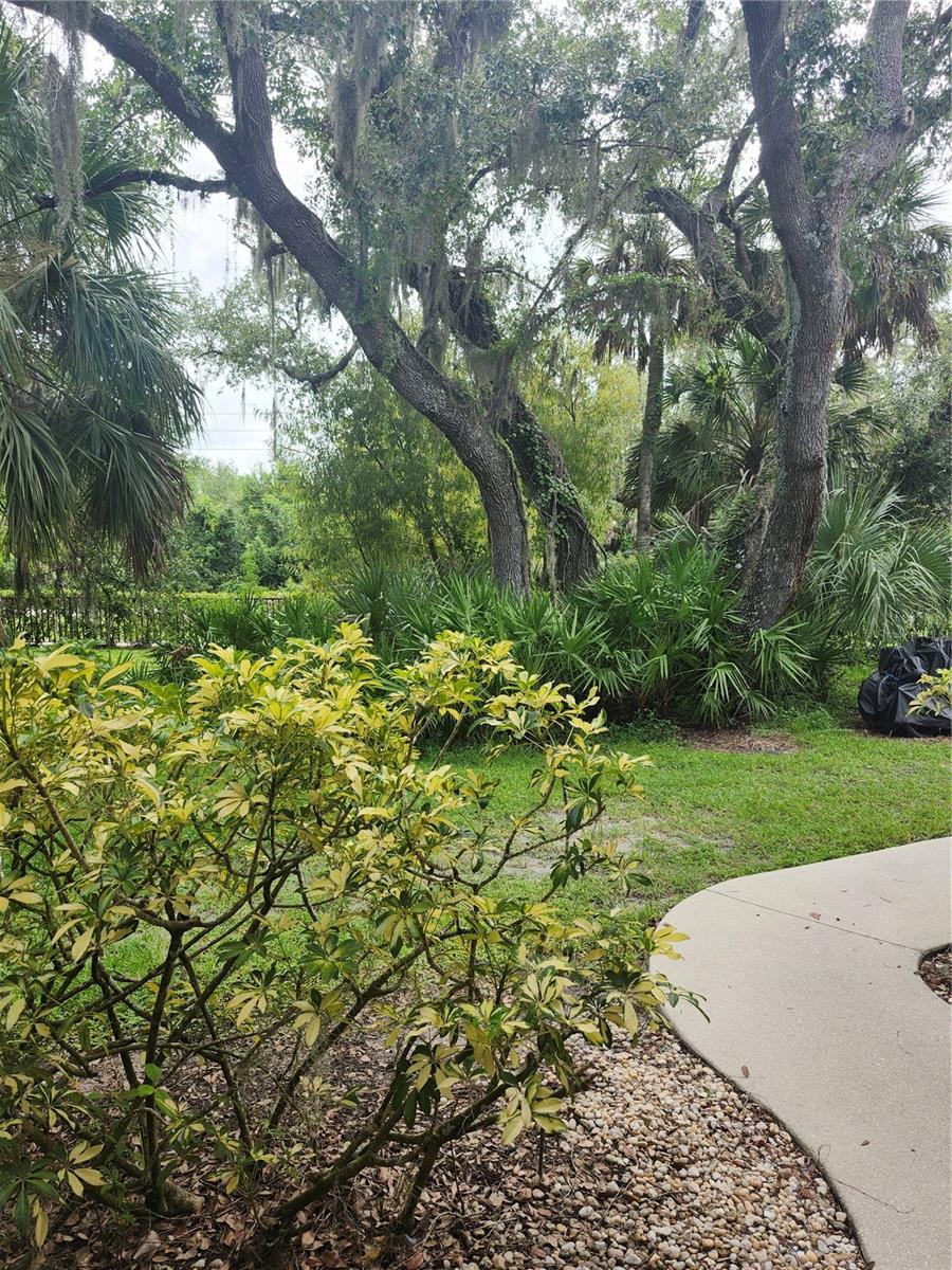 Image 21 of 27 For 1515 Forrest Nelson Boulevard J104