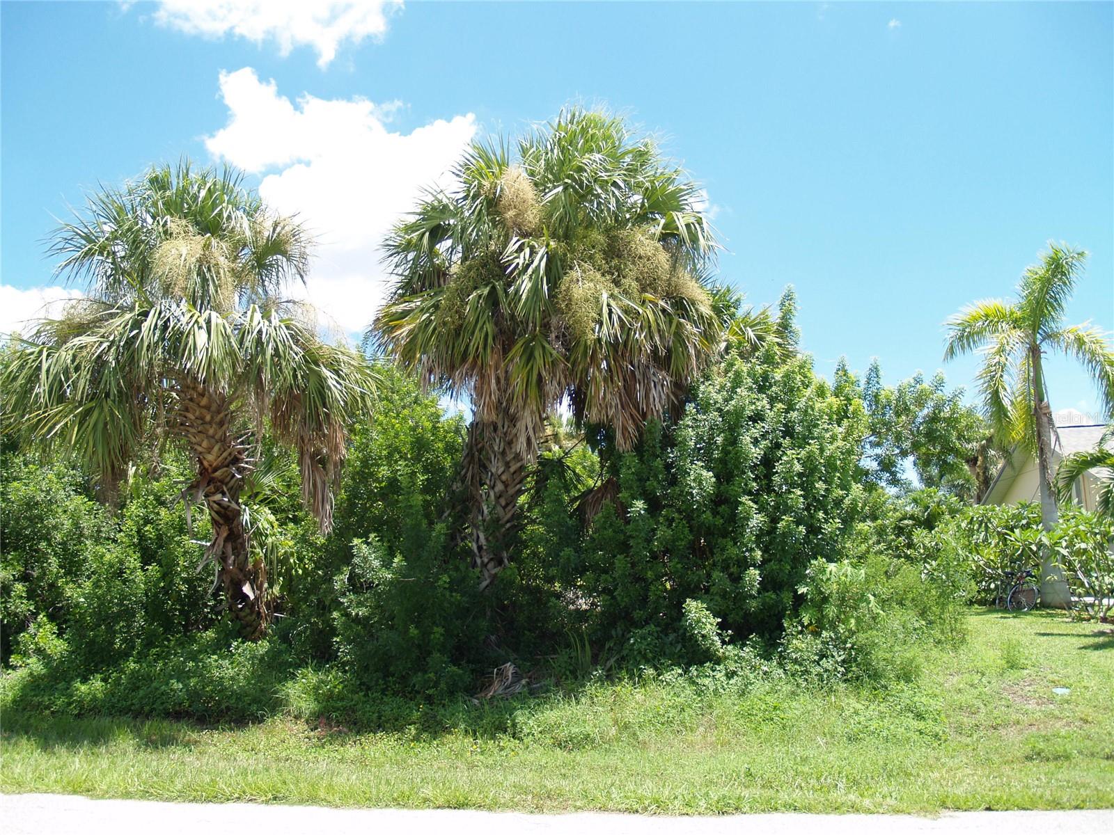 Image 11 of 18 For 18443 Briggs Circle