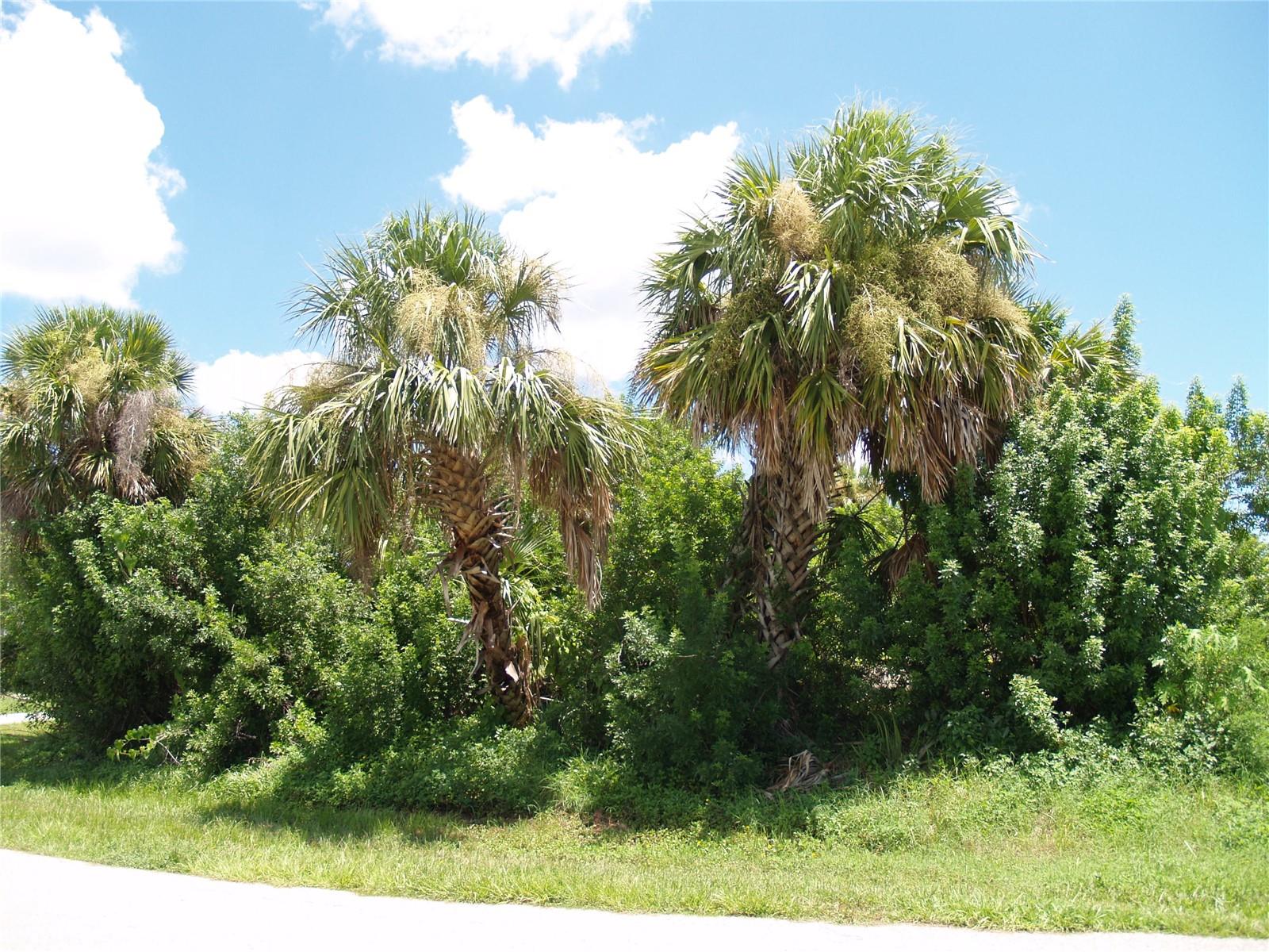 Image 12 of 18 For 18443 Briggs Circle