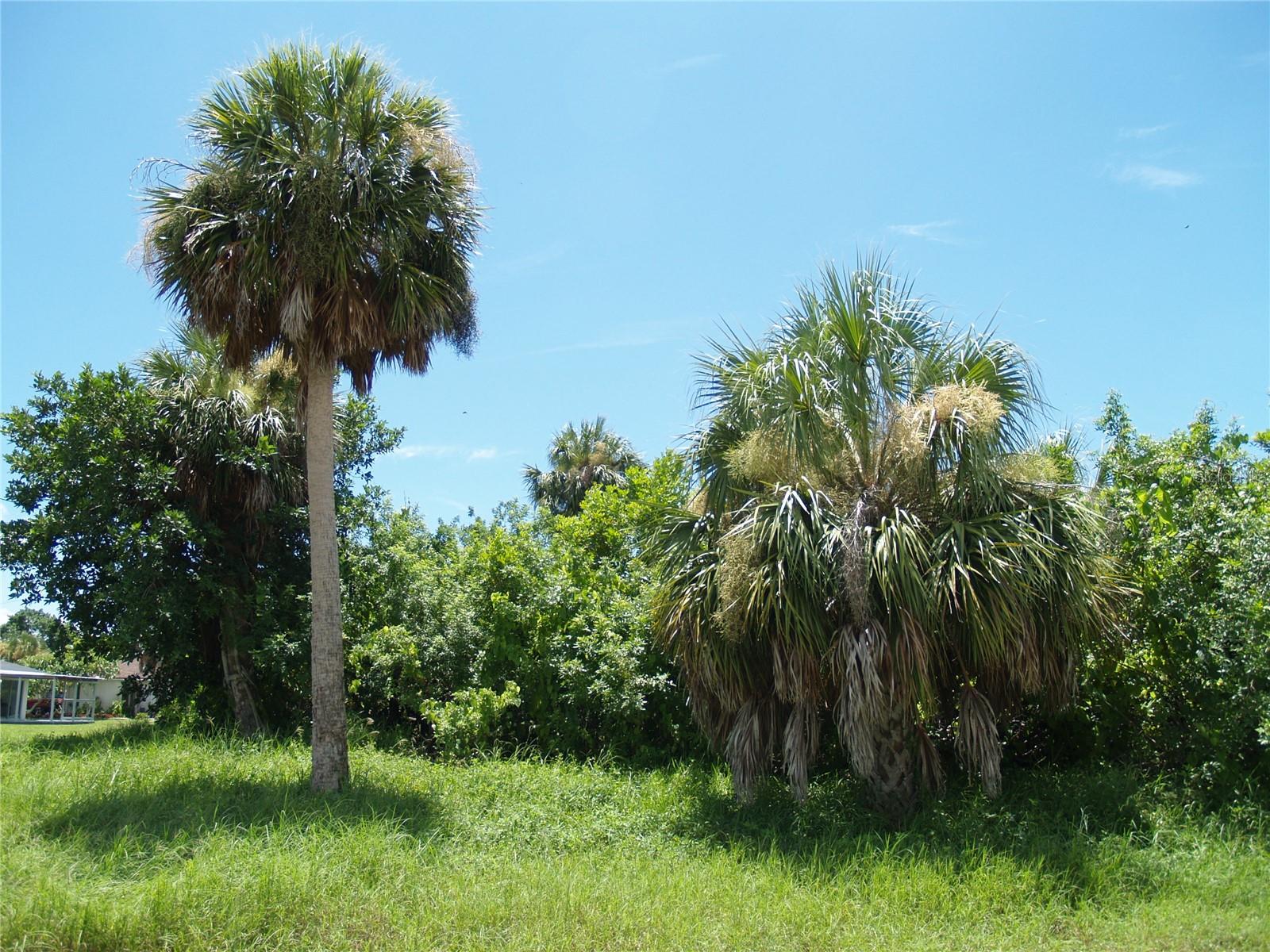 Image 16 of 18 For 18443 Briggs Circle