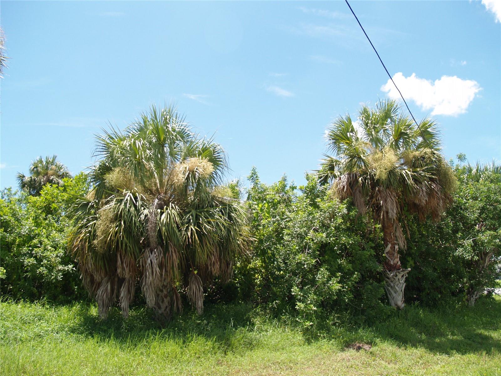 Image 17 of 18 For 18443 Briggs Circle