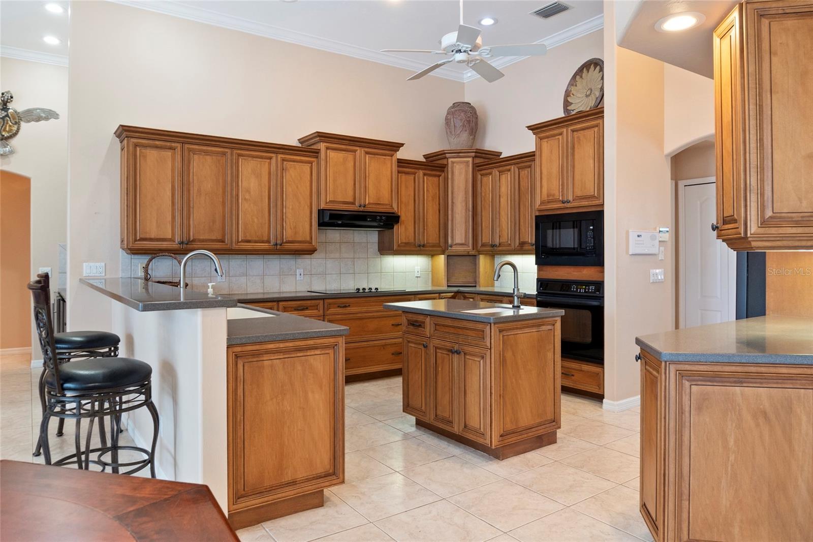Image 10 of 50 For 1875 Canary Palm Way