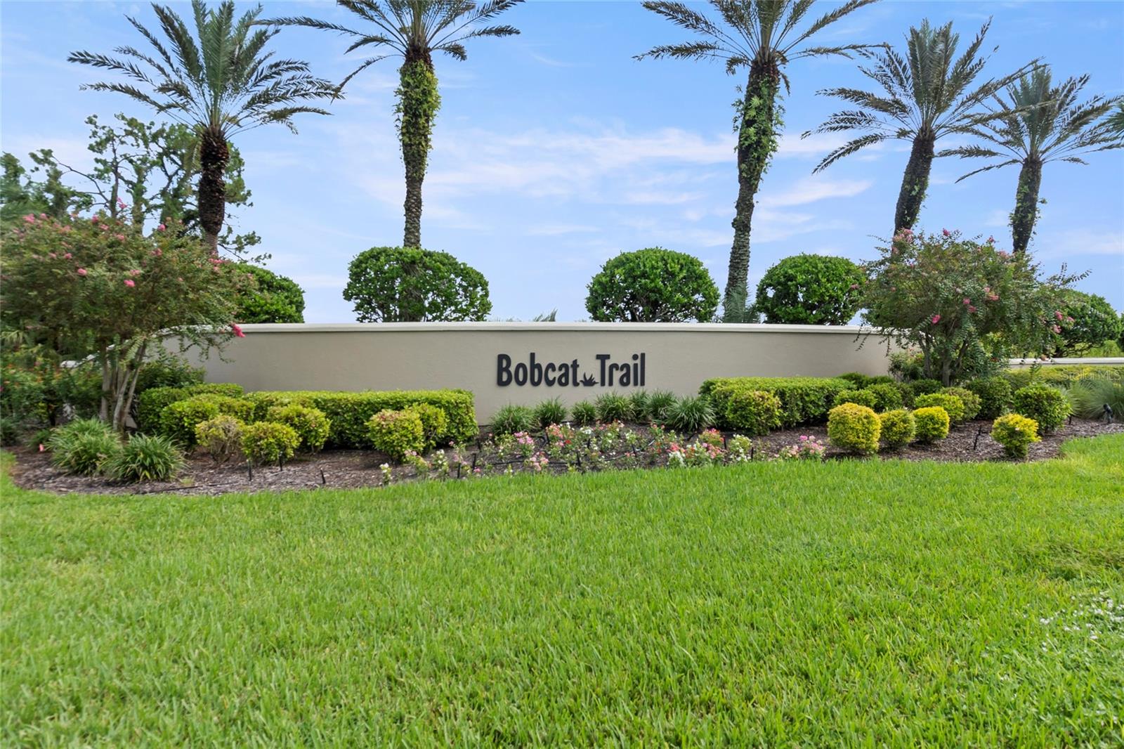 Image 49 of 50 For 1875 Canary Palm Way