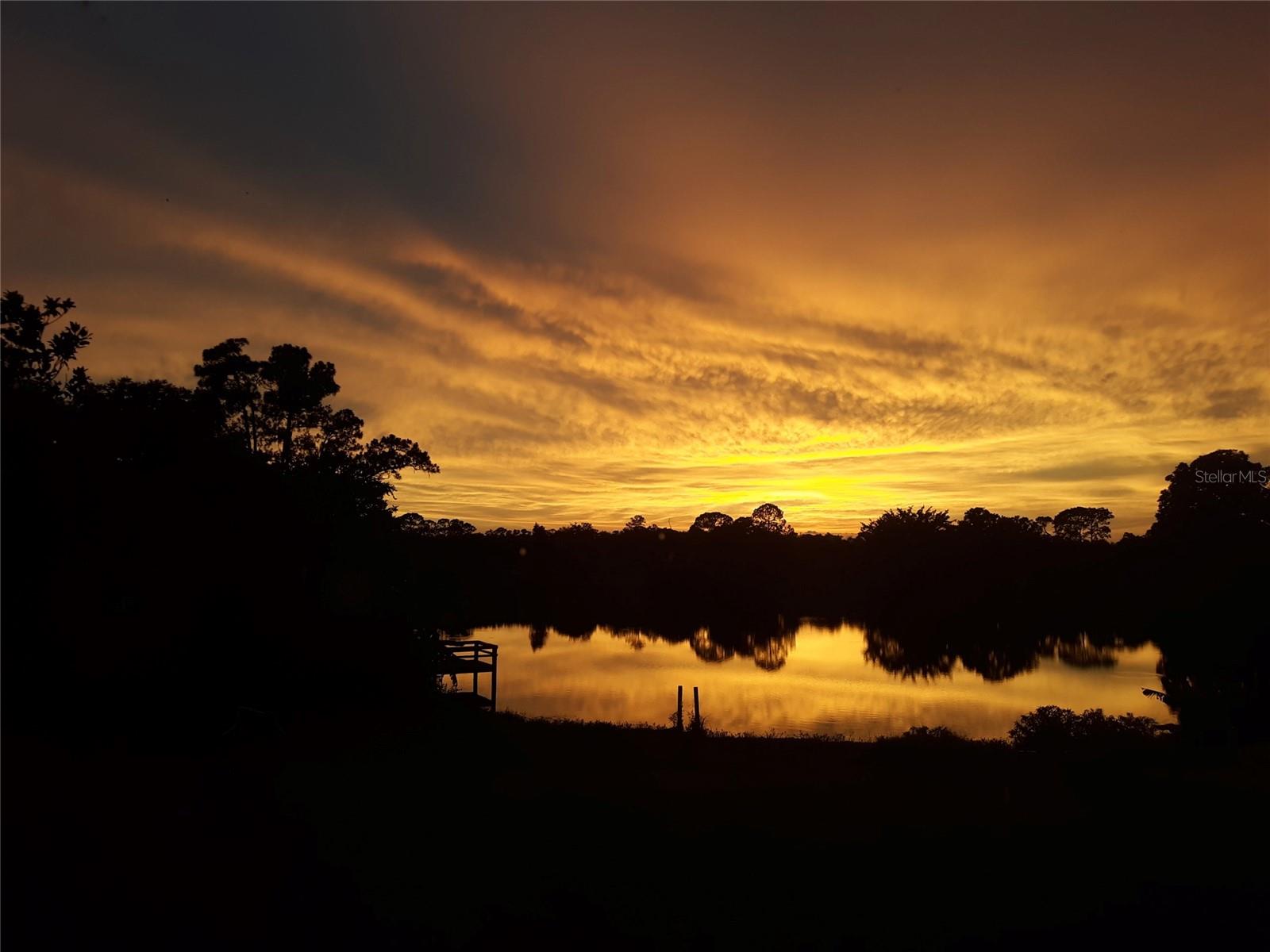 Image 48 of 69 For 1391 Abalom Street