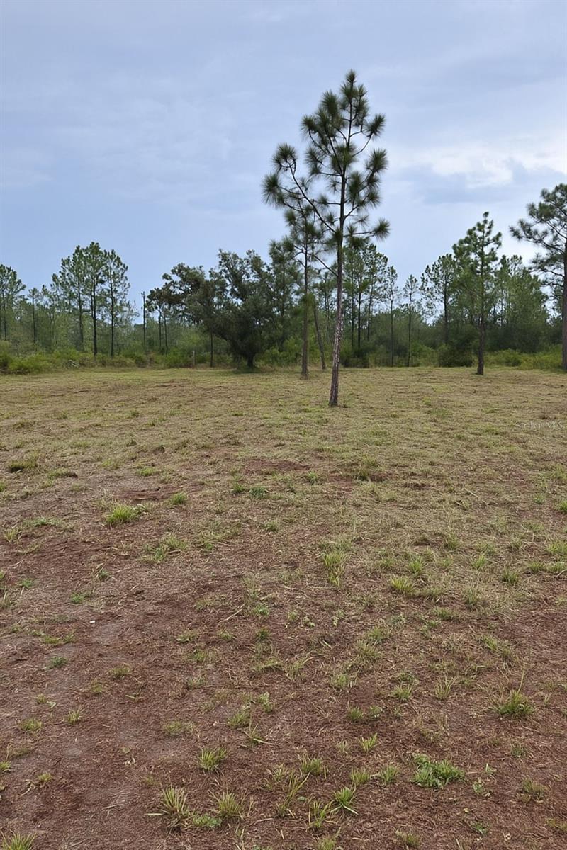 Details for 1108 Palm Avenue, INDIAN LAKE ESTATES, FL 33855