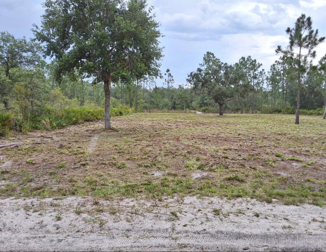 Image 3 of 4 For 1108 Palm Avenue