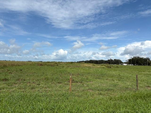 Image 3 of 4 For Coker Avenue