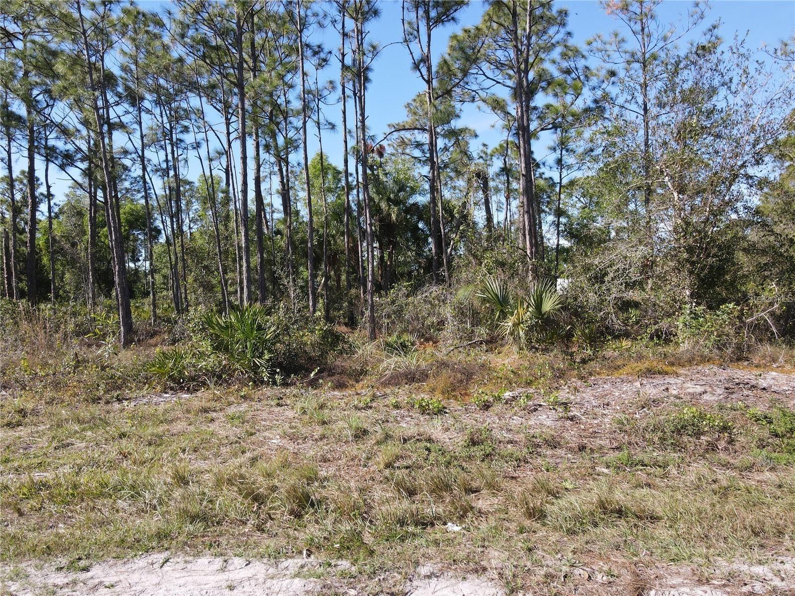 Image 7 of 8 For 12295 Graffiti Drive