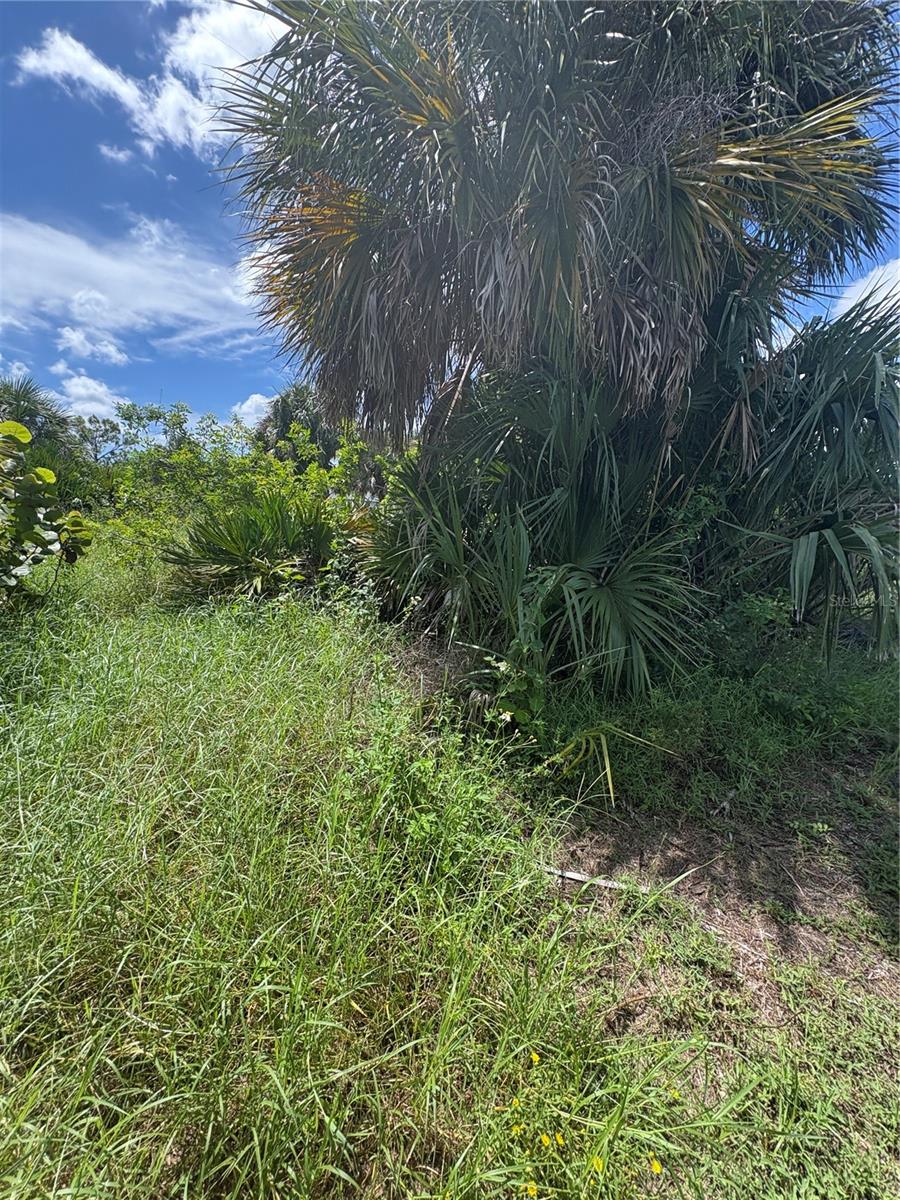 Image 6 of 13 For 16936 Ohara Drive