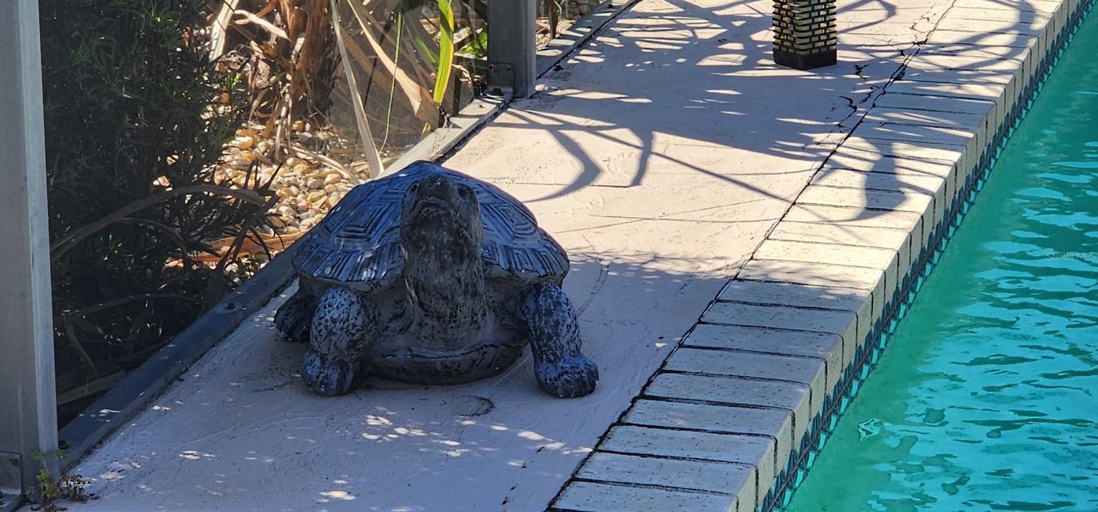 Image 40 of 73 For 538 Grenada Street