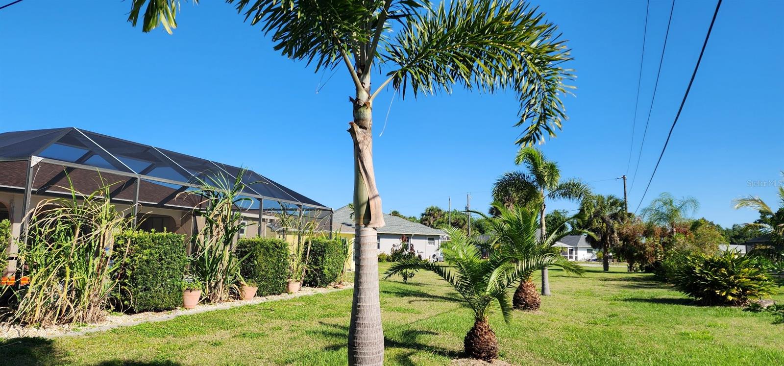 Image 46 of 73 For 538 Grenada Street