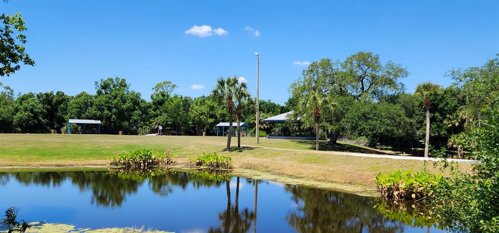 Image 55 of 73 For 538 Grenada Street