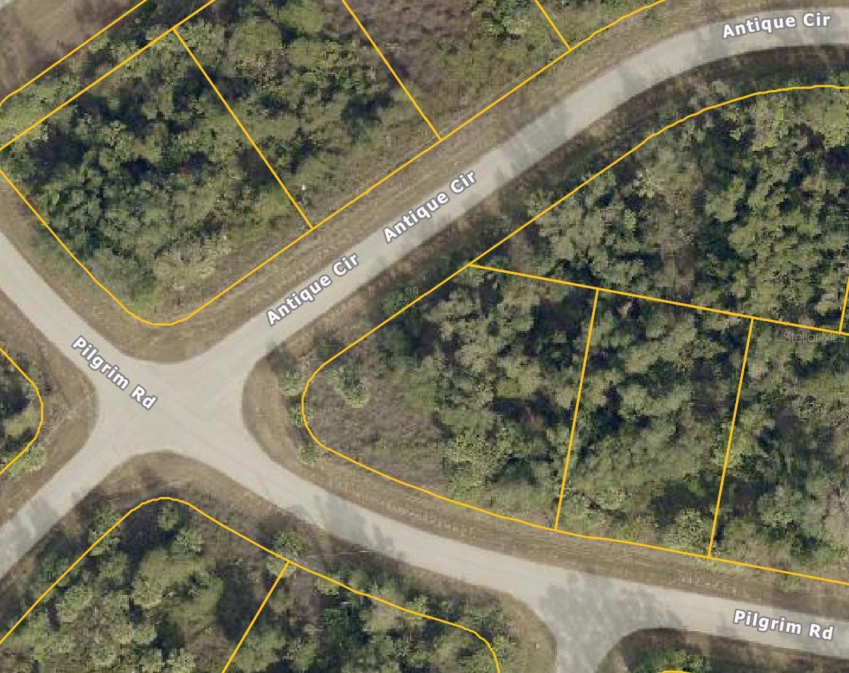 Image 2 of 3 For Pilgrim Road