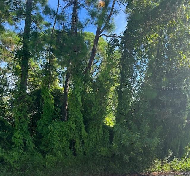 Image 2 of 3 For Gancedo Avenue