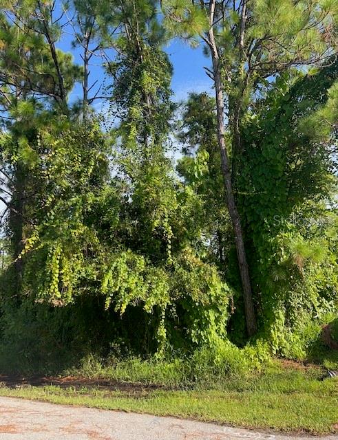 Image 3 of 3 For Gancedo Avenue