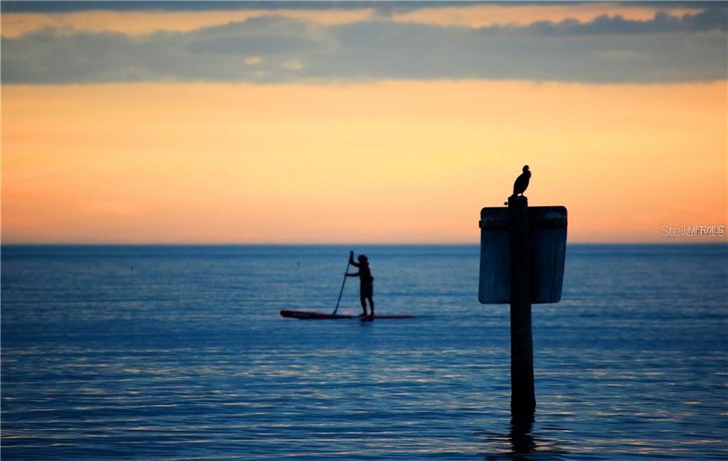 Image 25 of 30 For 1108 March Drive