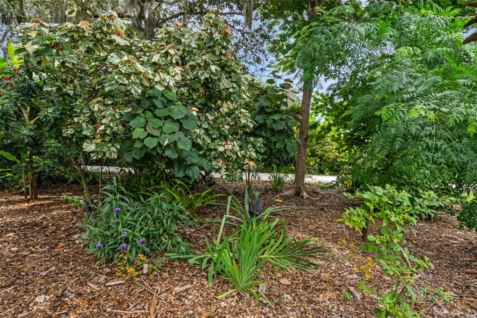 Image 59 of 80 For 2209 Baybell Street