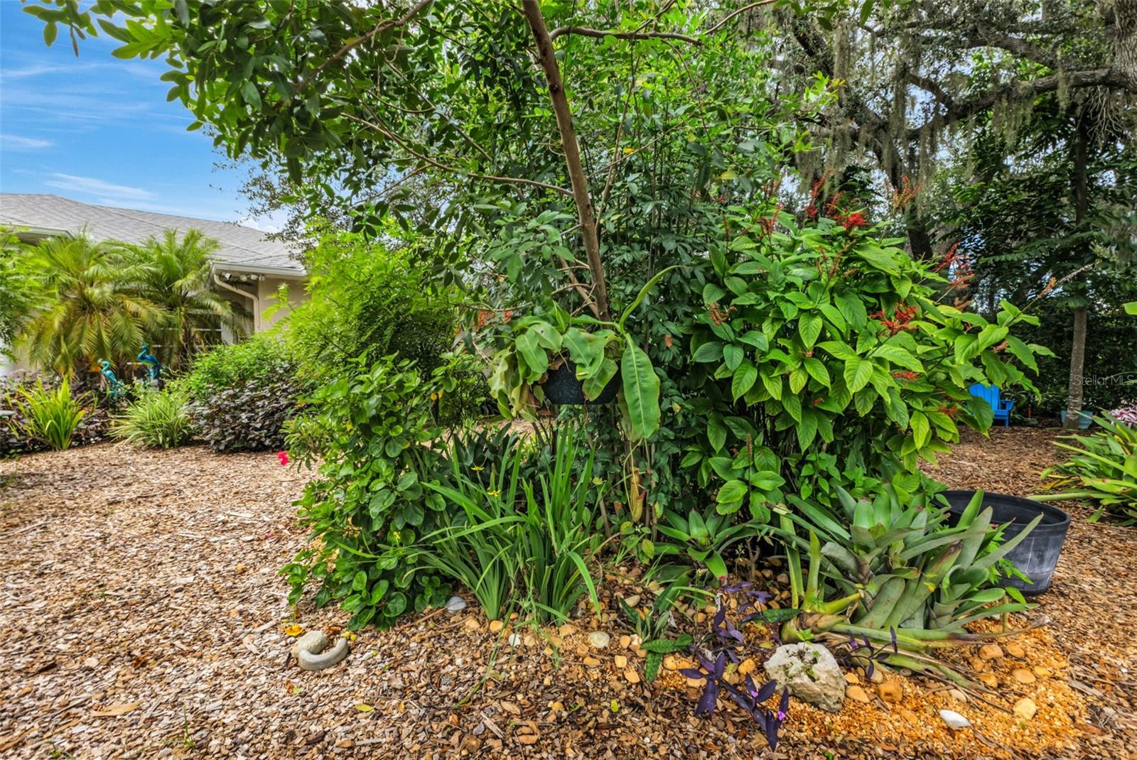 Image 62 of 80 For 2209 Baybell Street