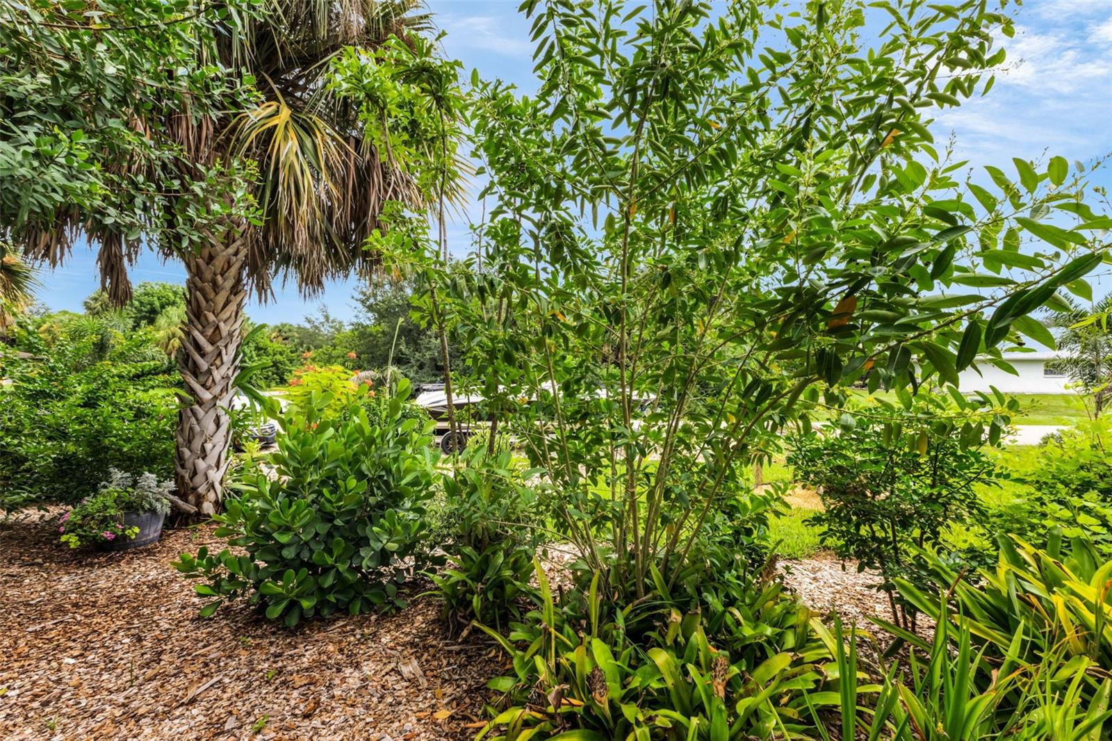 Image 63 of 80 For 2209 Baybell Street