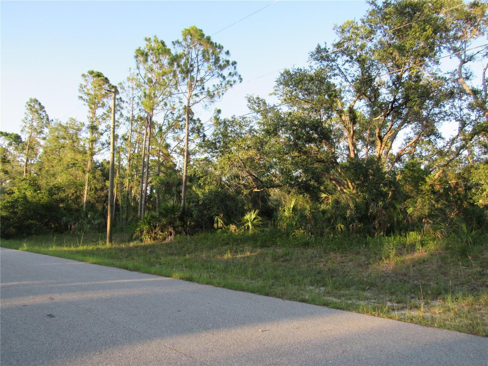 Listing Details for Cascabel Terrace, NORTH PORT, FL 34286