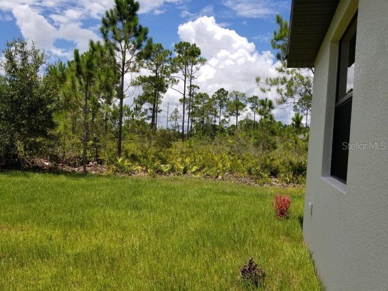 Image 11 of 16 For 26285 Explorer Road