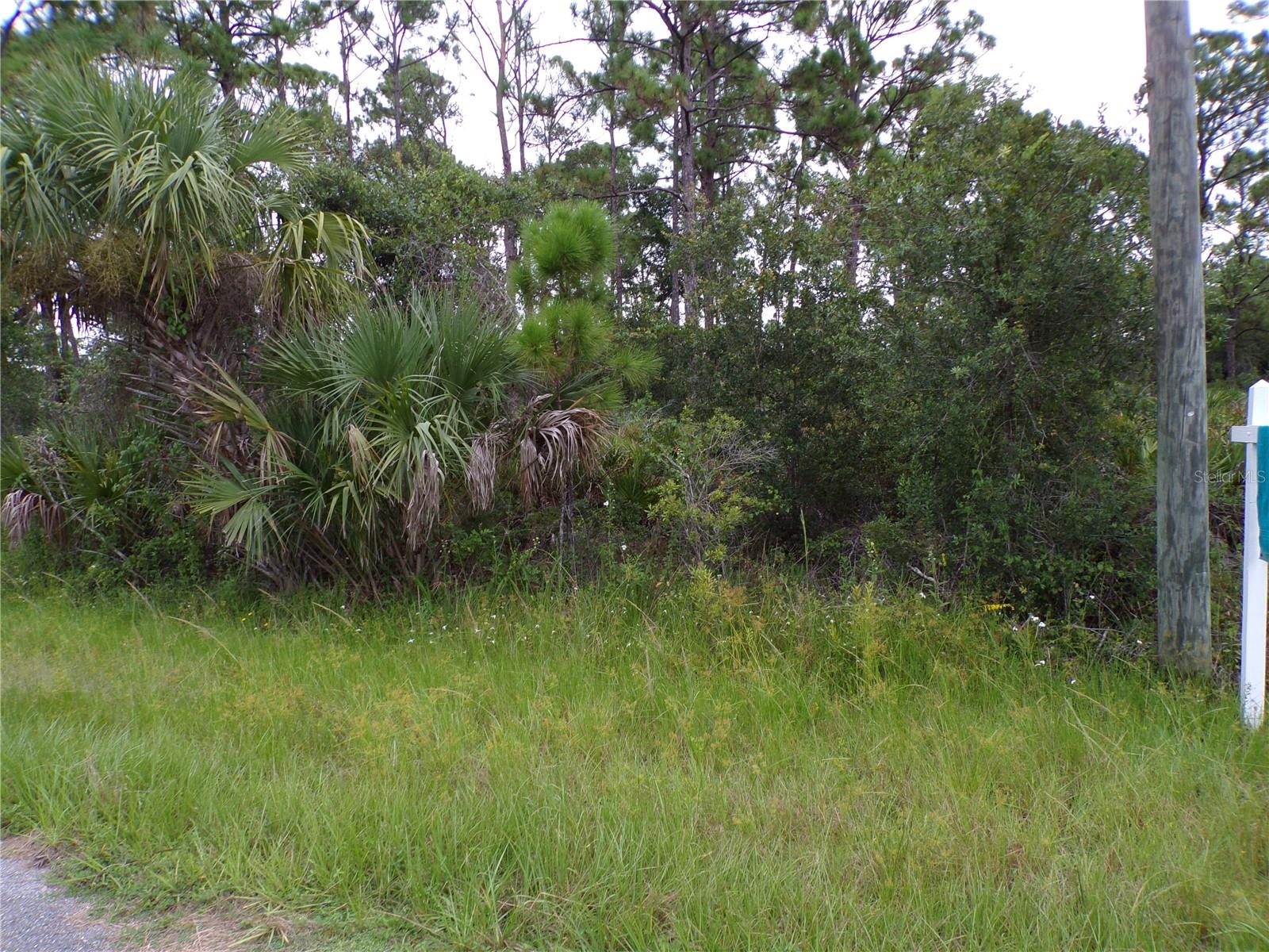 Image 5 of 15 For 14020 Carrie Avenue