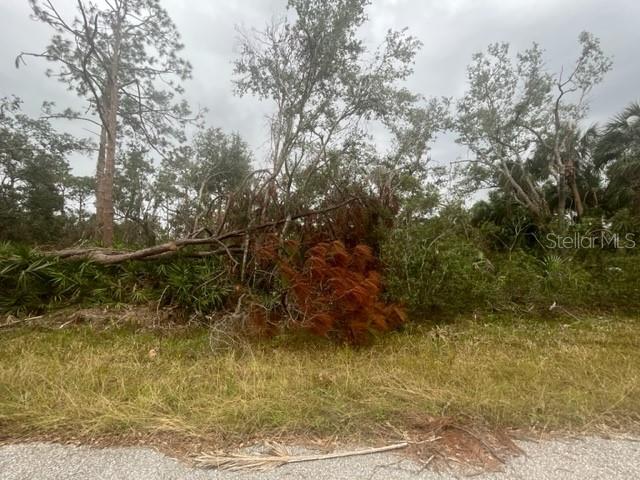 Details for 17051 Carson Avenue, PORT CHARLOTTE, FL 33948